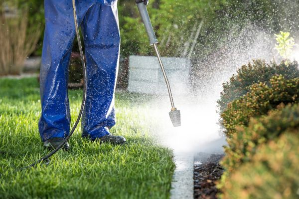 Curb Cleaning in Keller