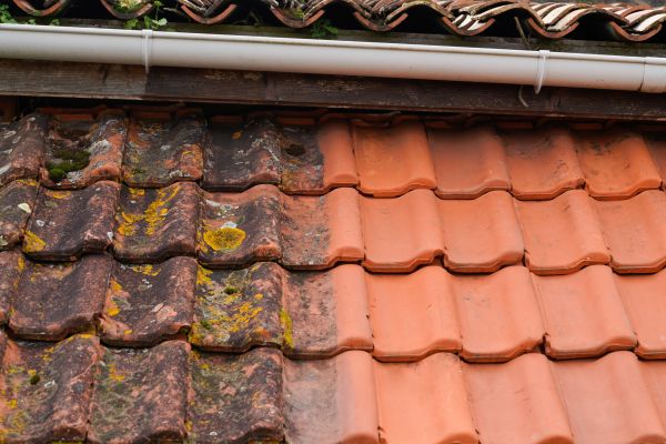Cost of Industrial Roof Cleaning in Keller